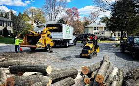 Best Lawn Drainage Solutions  in Santa Maria, CA