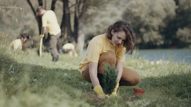 Best Lawn Maintenance Plans  in Santa Maria, CA